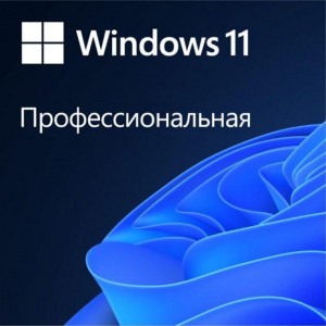 MS Windows 11 Professional